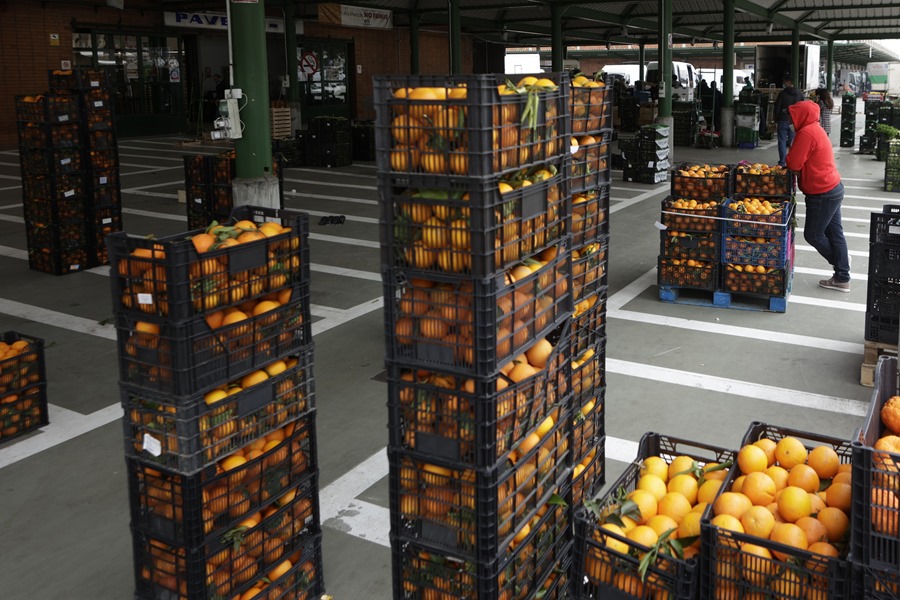 Descubriendo el mercado de frutas y hortalizas de Espana en