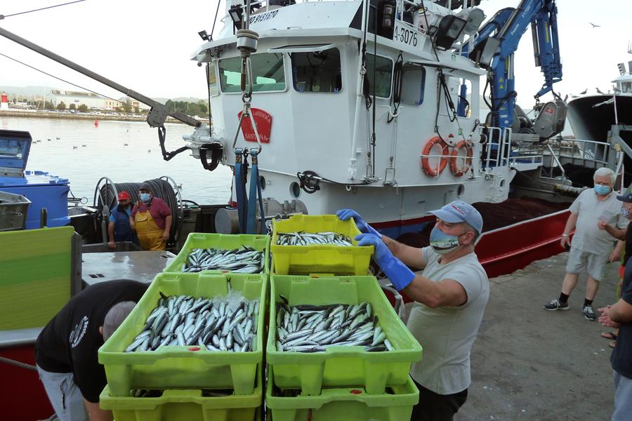 Eurocamara y Consejo discuten las cuotas de anchoa en el