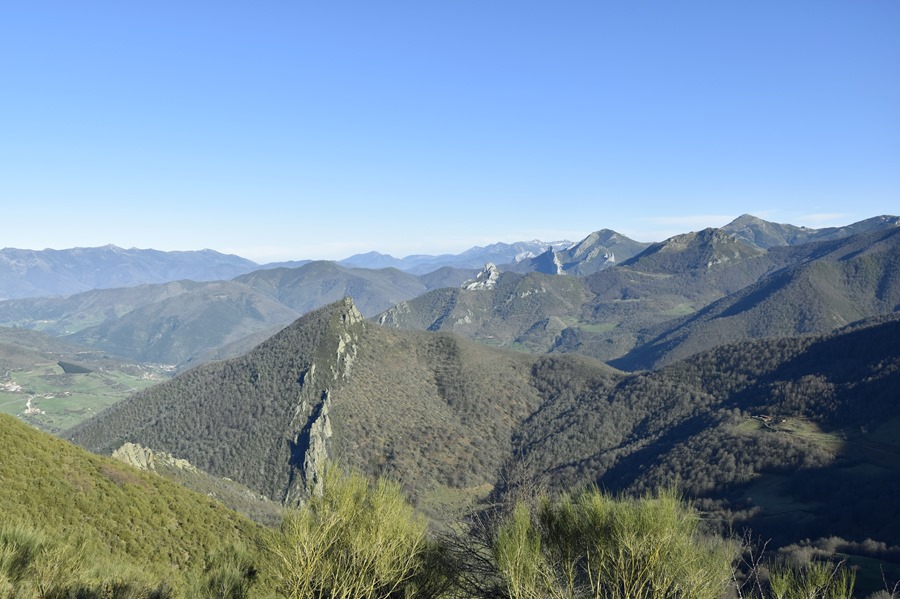 Aplazamiento de 12 meses para la ley anti deforestacion respaldado por
