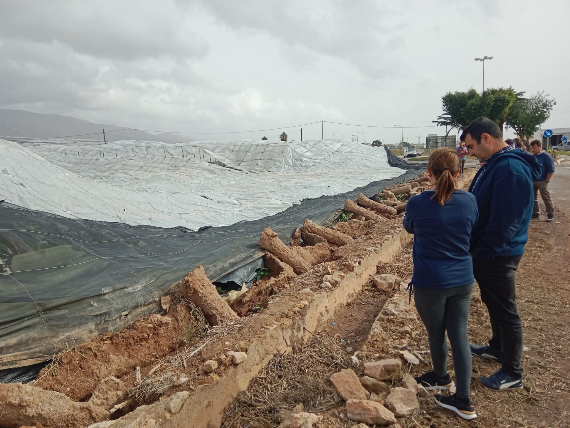Danas dejan serias consecuencias en invernaderos de El Ejido Almeria