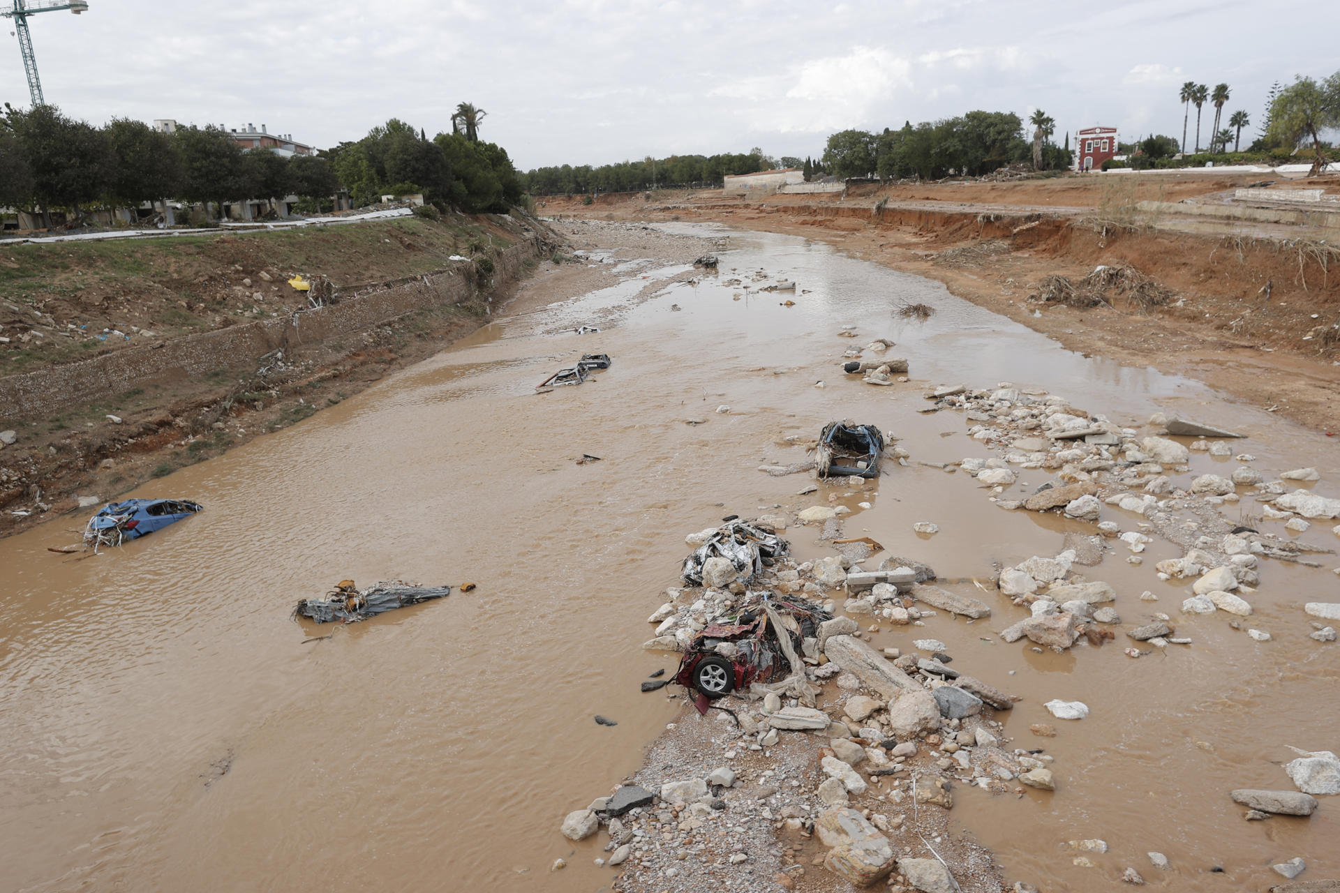 Casi 3.000 animales sacrificados en granjas por la devastación de la dana