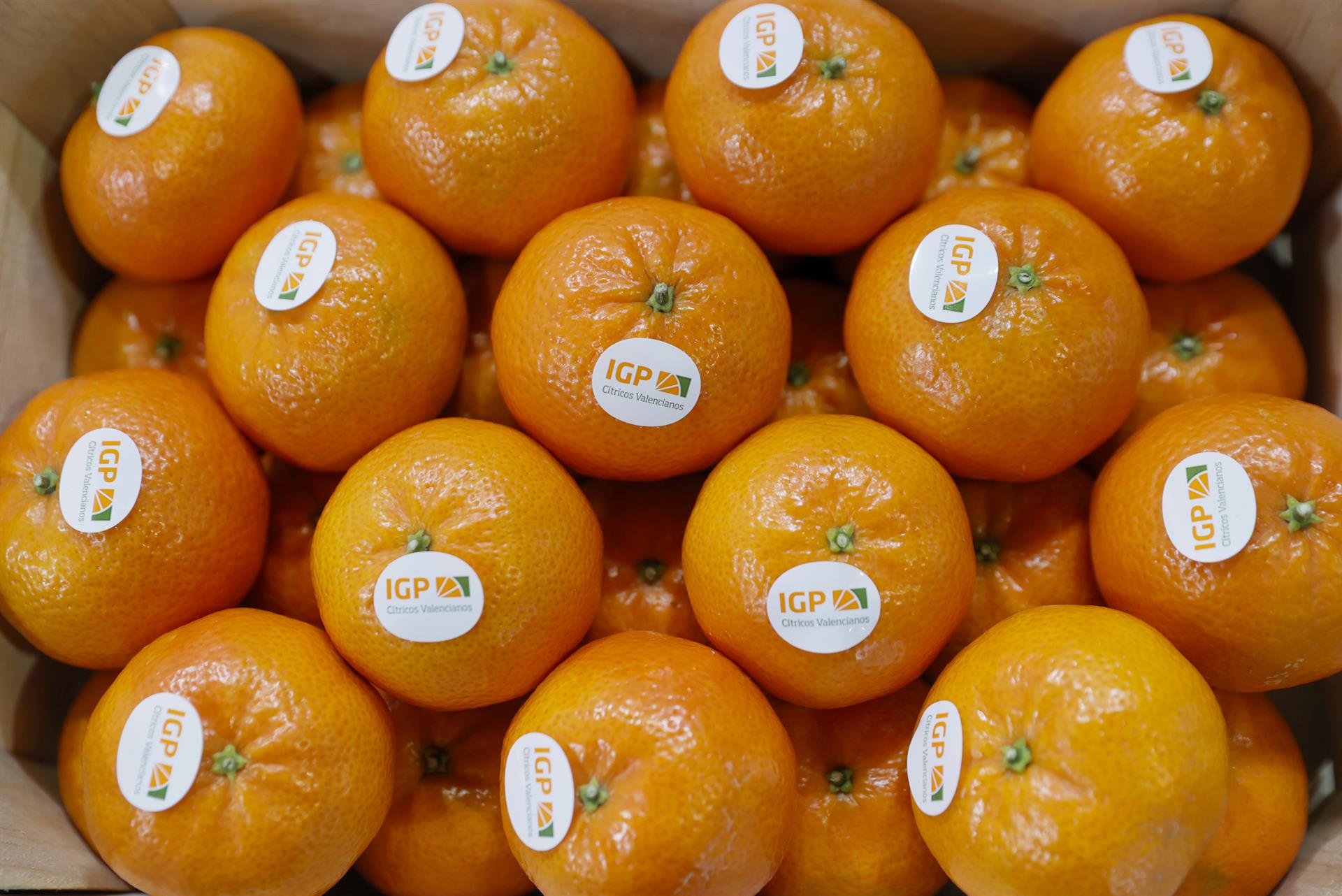 Cítricos listos para el mercado europeo tras la emergencia climática en España