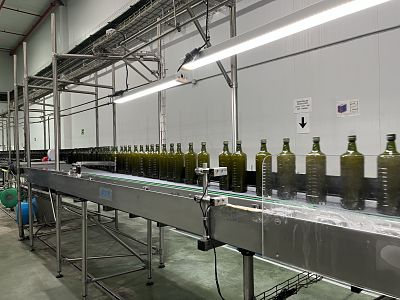 Dcoop prevé aumentar su facturación a 1.600 millones en 2024, un crecimiento del 13,5%