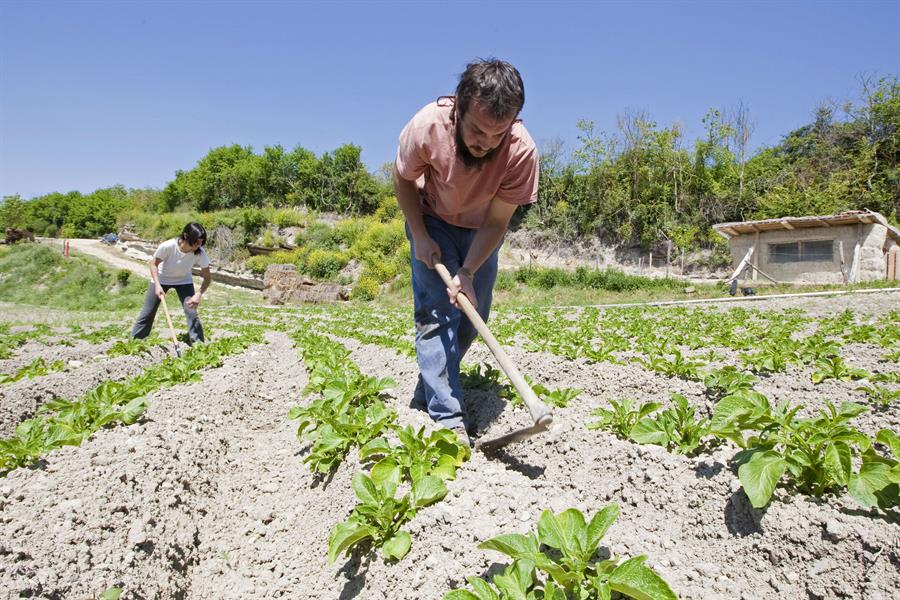 Oportunidades en el campo: cómo la vivienda y la jornada laboral revitalizan el mundo rural en España