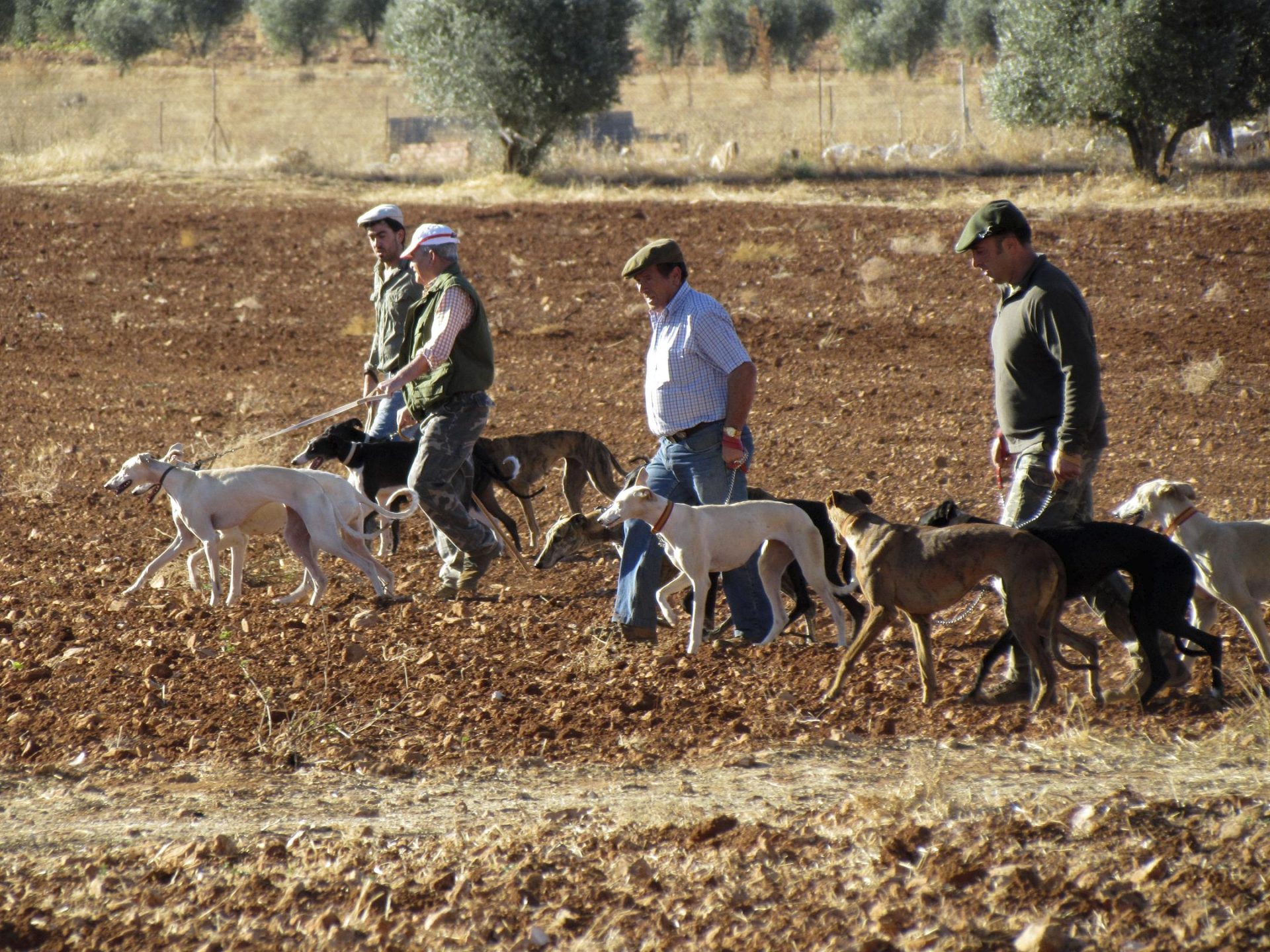 Cazadores exigen a la Comisión Europea una legislación coherente y lógica