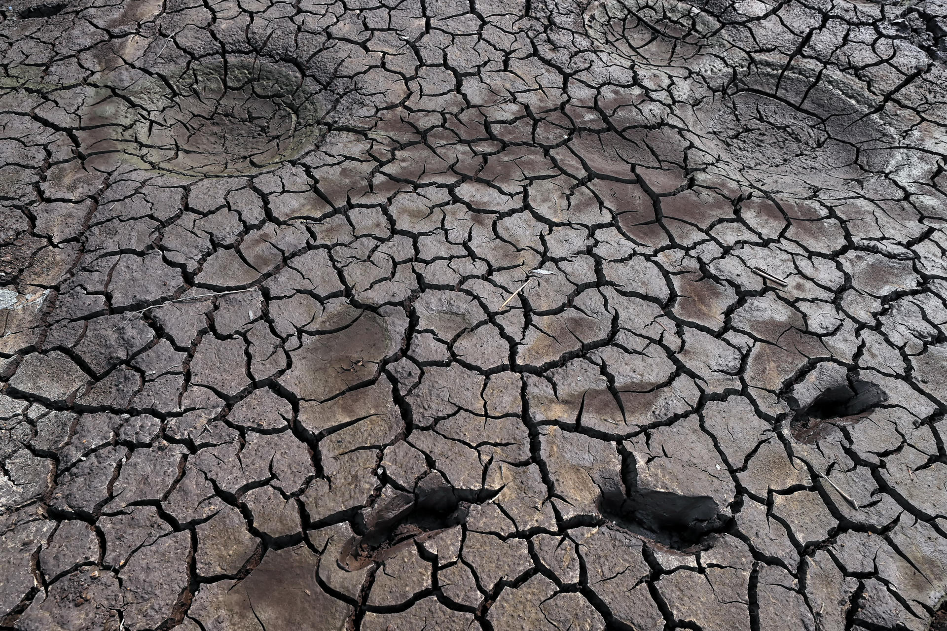 Desertificación global: cómo afectará a 5.000 millones de personas para 2100