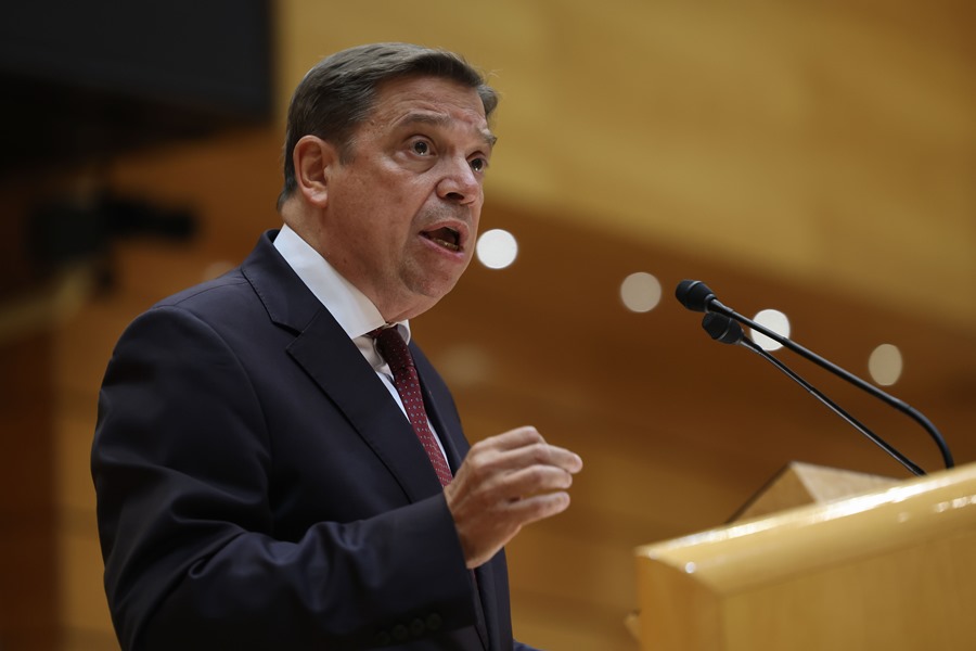 El acuerdo con Mercosur: una oportunidad clave para el agroalimentario en España