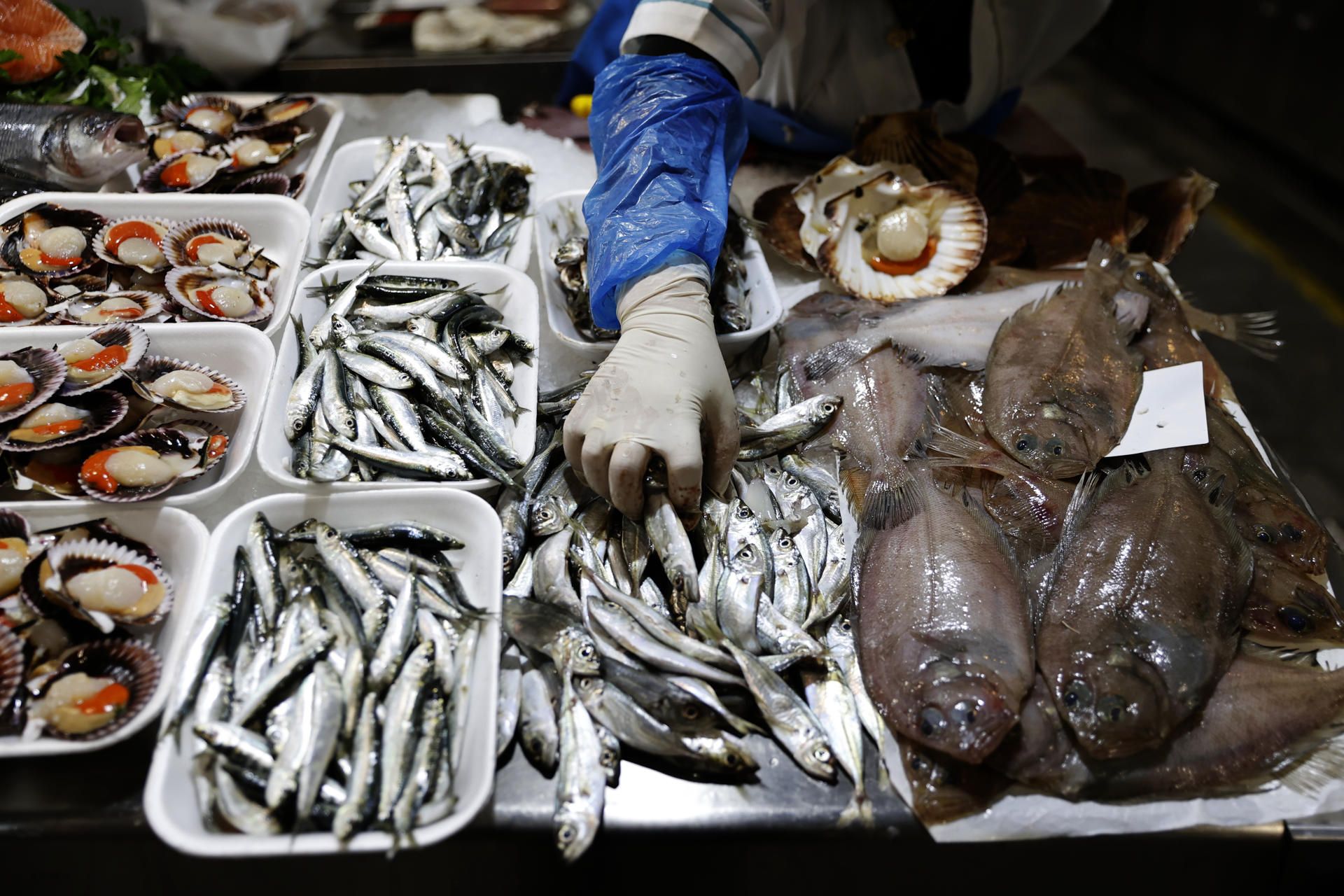 Los clásicos del mar se disparan en ventas esta Navidad