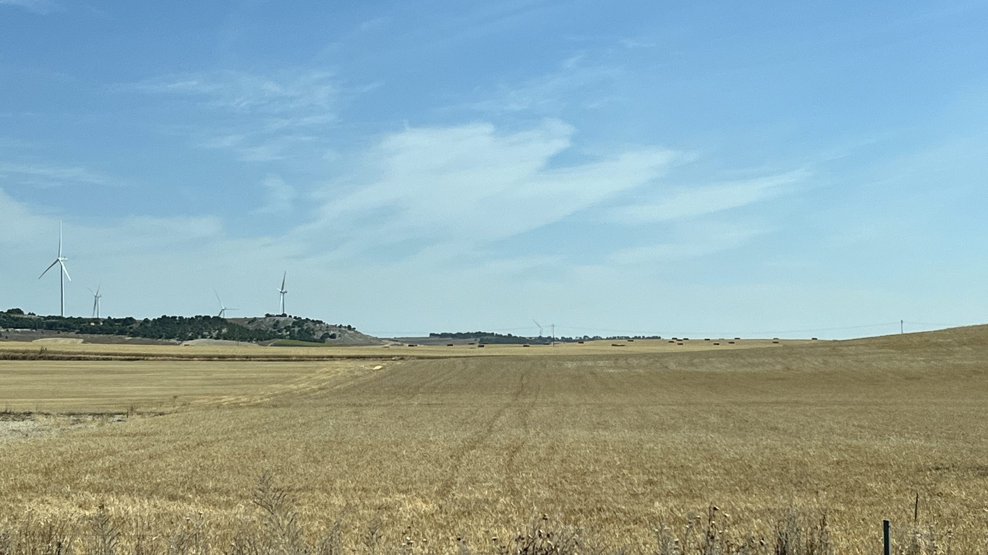 Punto de inflexión en el sector agrario: Planas destaca avances en 43 medidas clave