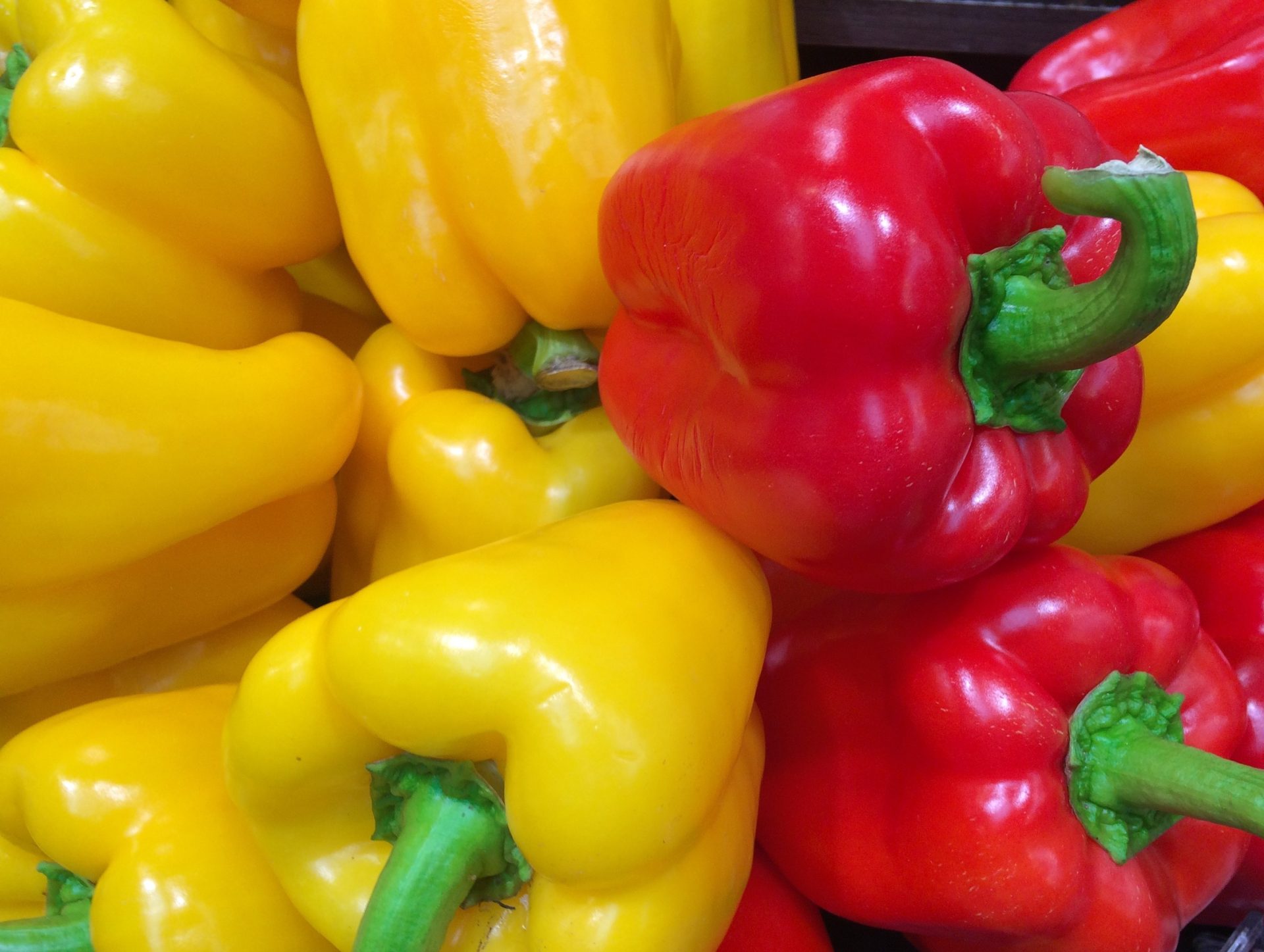 Almería busca recuperar la exportación de pimientos a EEUU tras un cierre inesperado