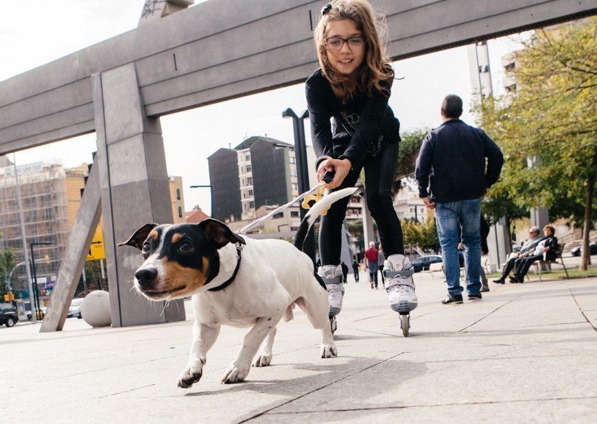 Antibióticos para mascotas: el nuevo control que complica la vida a veterinarios