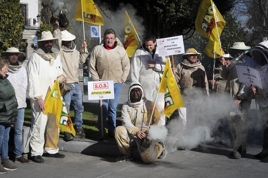 Apicultores exigen controles más estrictos para la miel importada ante el abandono de la CE