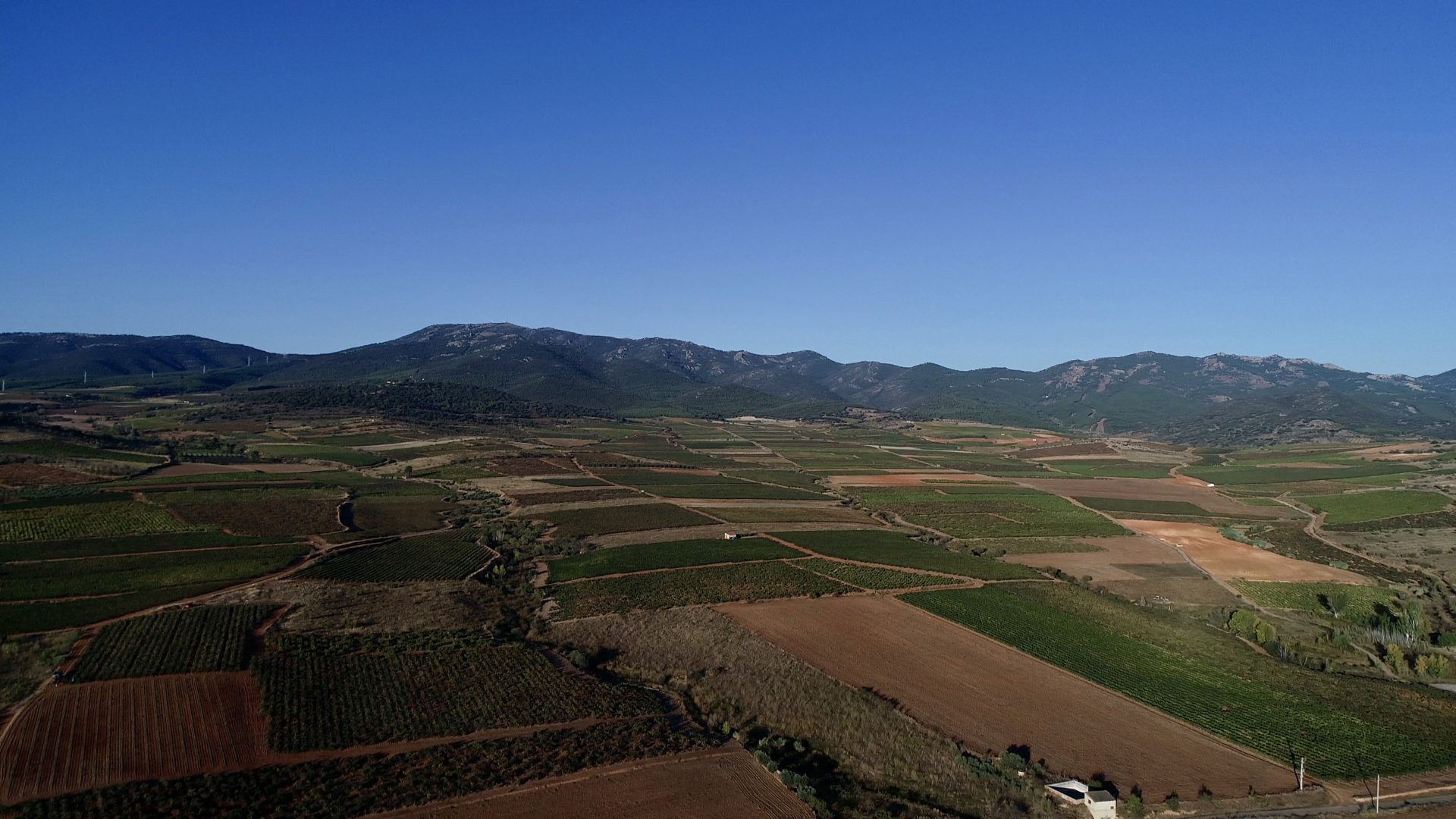 Apoyos directos a agricultores en 2024: 5.754 millones para impulsar el sector agrícola