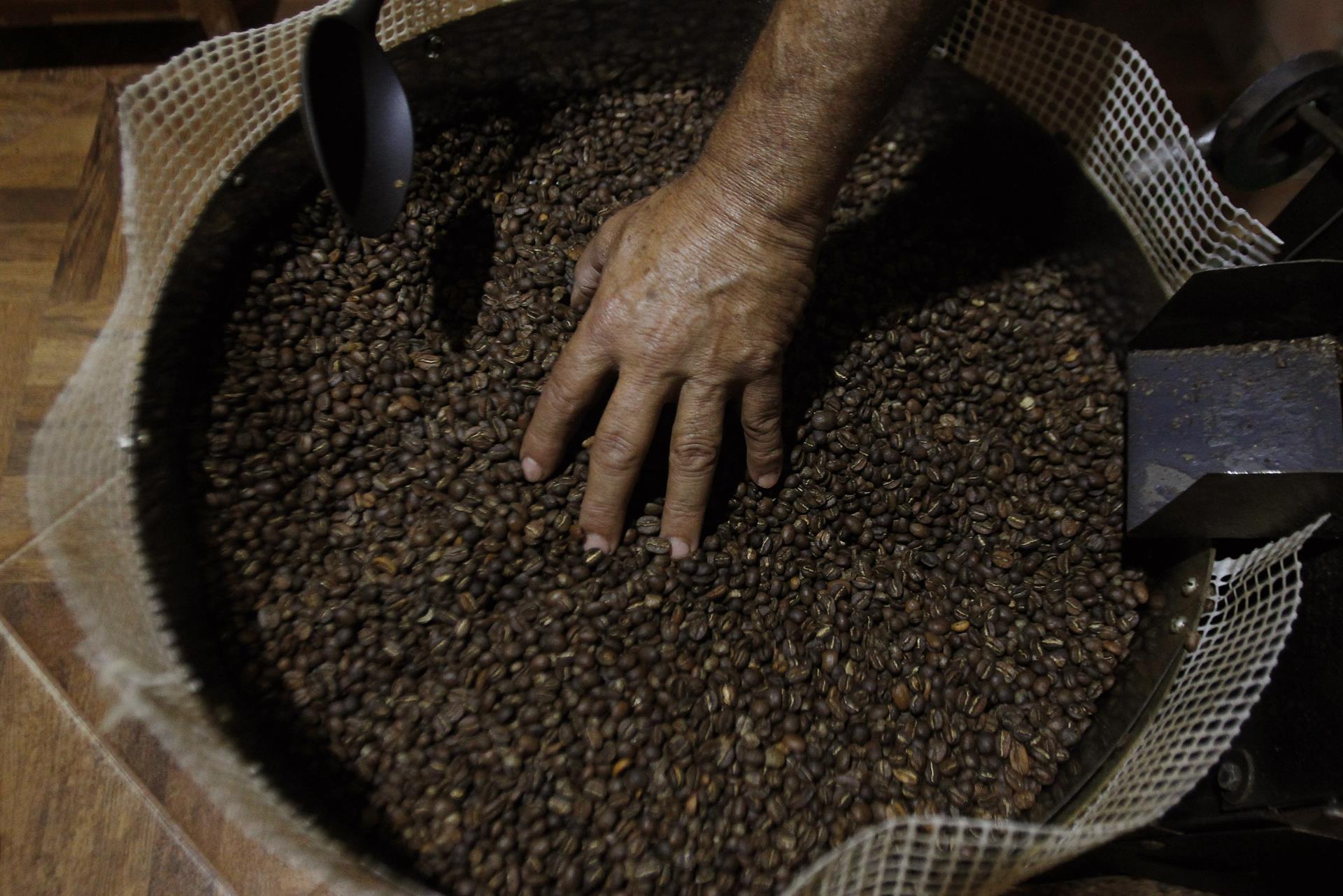 Colombia celebra su mayor producción de café en cinco años y las razones detrás de este éxito