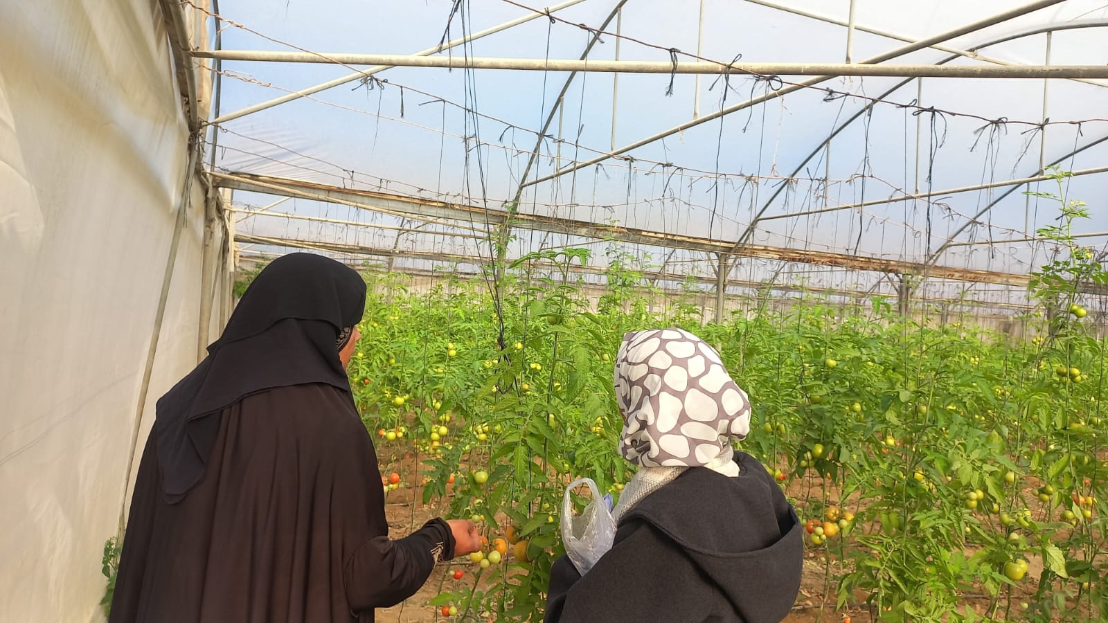 Gaza respira esperanza: una empresa local combate el hambre familiar