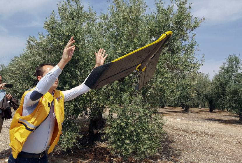 Caída del 8% en las startups agrotecnológicas en España para 2024: lo que debes saber