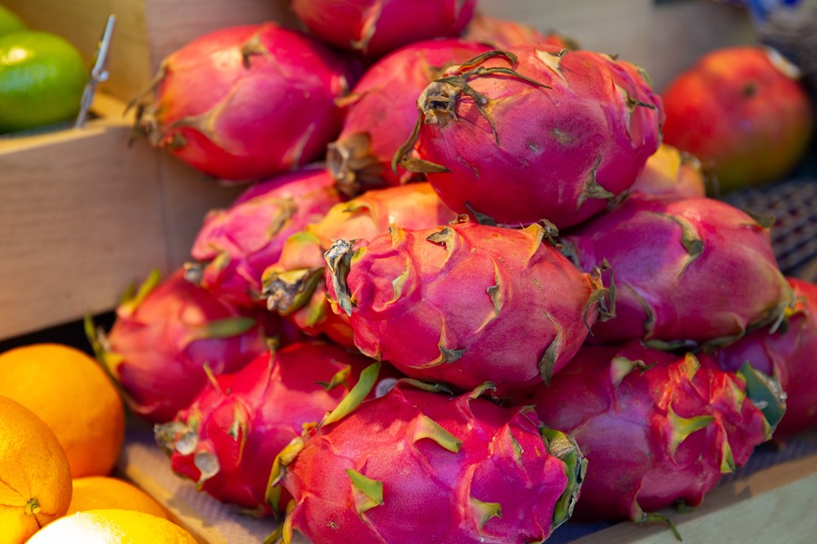 Ecuador lanza aguacate Hass y pitahaya roja en el mercado argentino
