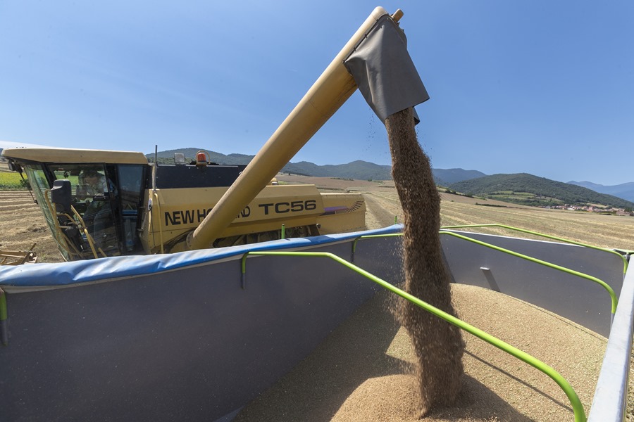 España lidera las importaciones de cereal en la UE: el 40,2% proviene de terceros países