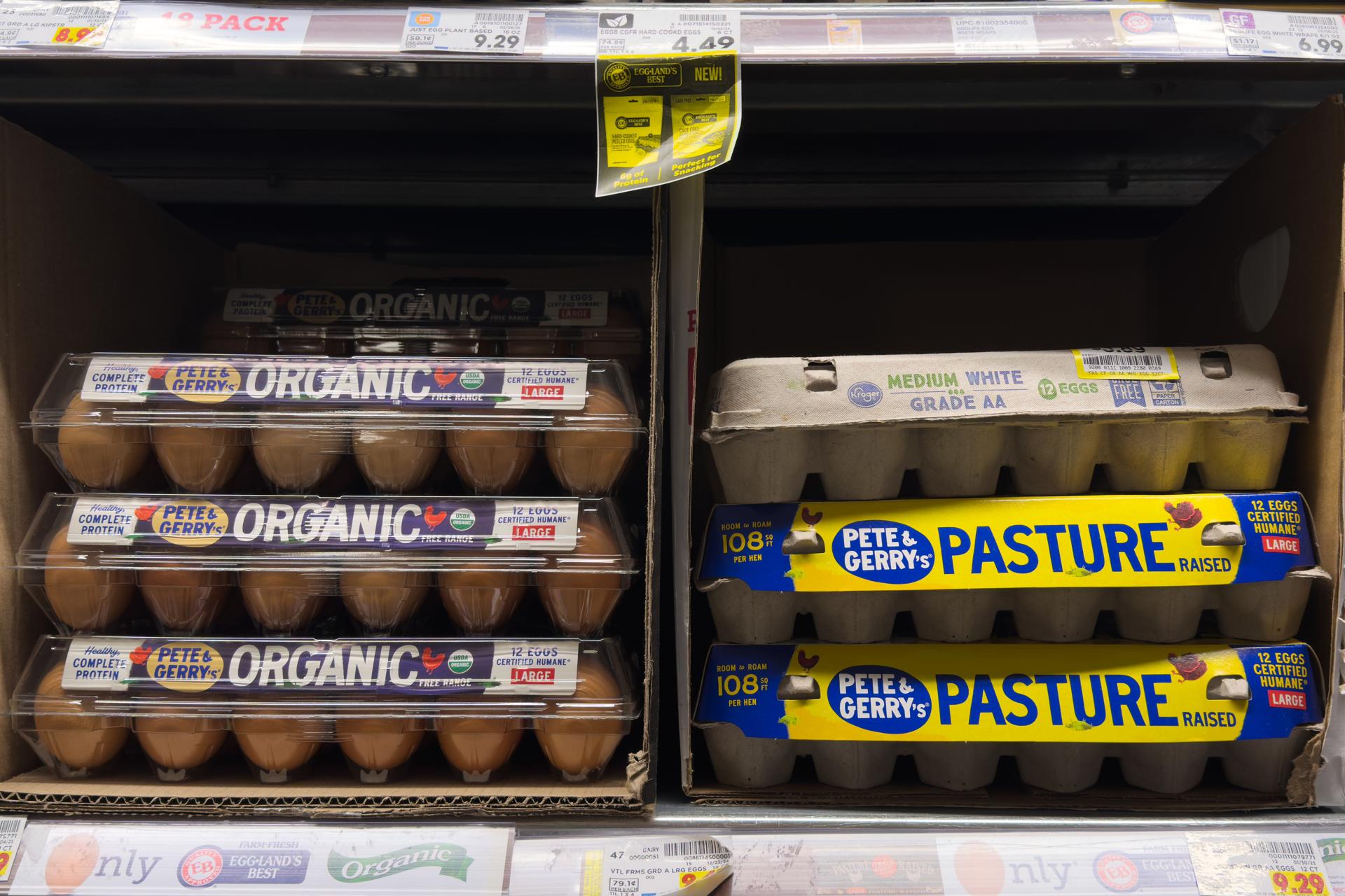 La verdad detrás de la escasez de huevos en EE.UU. y su vínculo con la gripe aviar