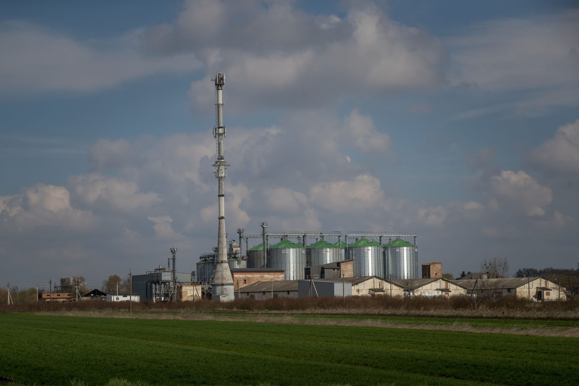 Ucrania: cómo el agro se mantiene firme tras tres años de guerra y crisis global