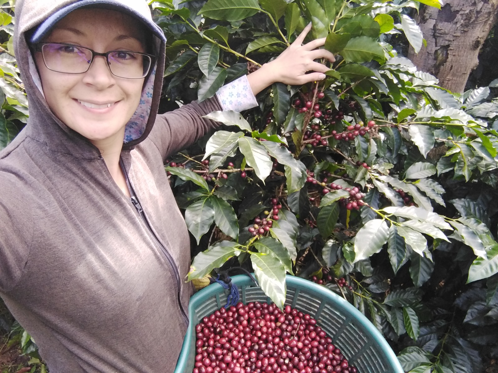 Café costarricense: la innovadora apuesta femenina que conquista Japón