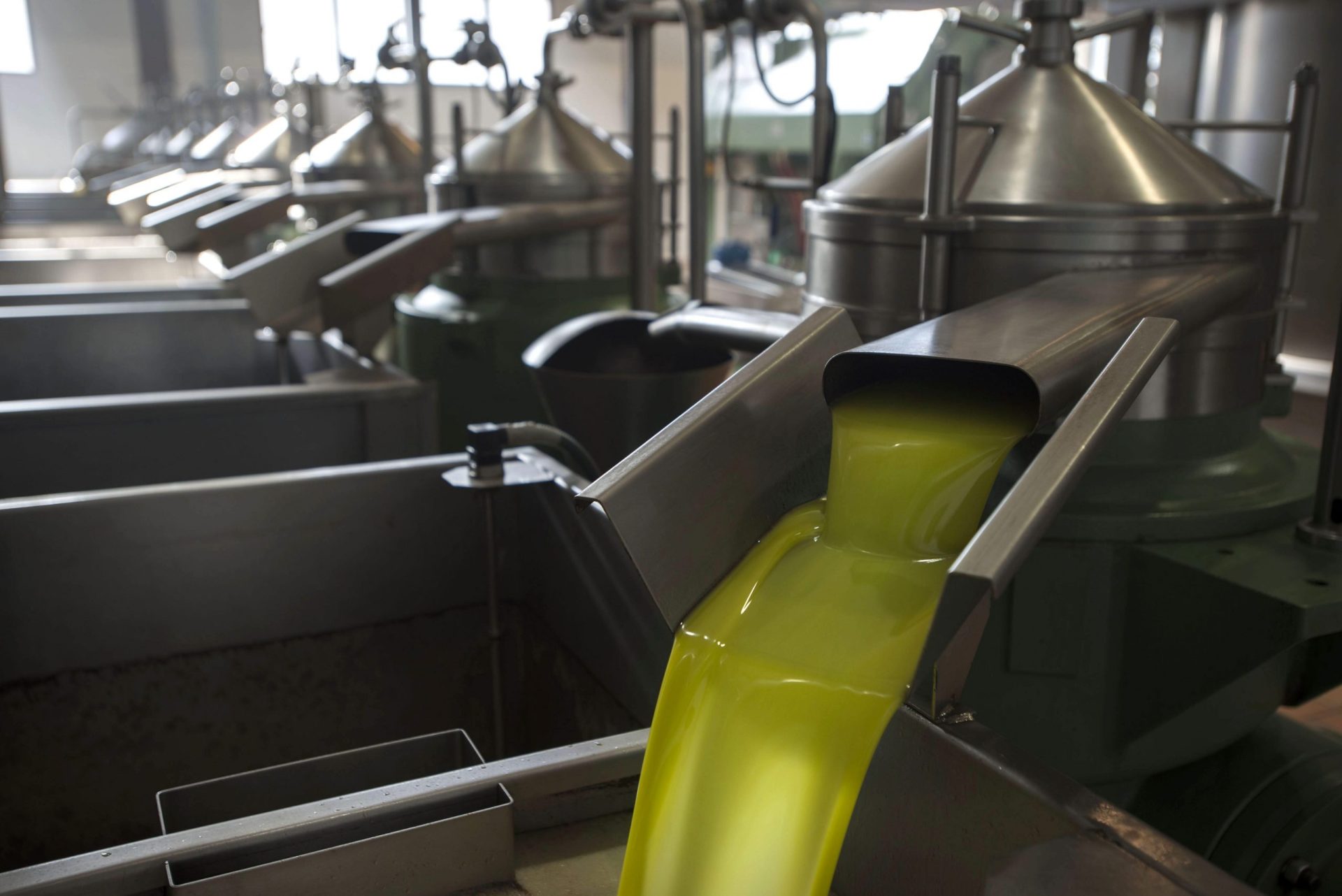 Las últimas novedades agroalimentarias que no te puedes perder esta semana Las últimas novedades agroalimentarias que no te puedes perder esta semana