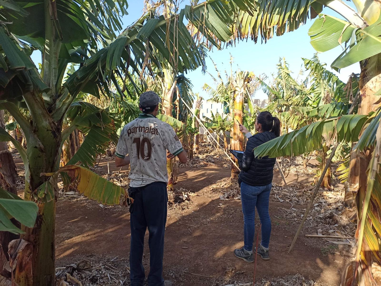 Mujeres pioneras en la evaluación de daños agrícolas: empatía y rigor en el campo