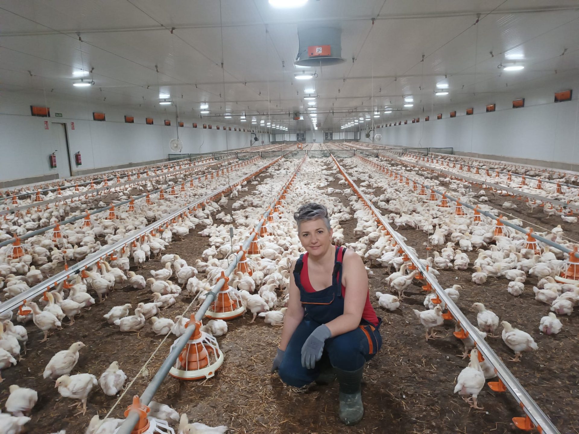 Mujeres rurales y titularidad compartida: el dilema entre derechos y trámites administrativos