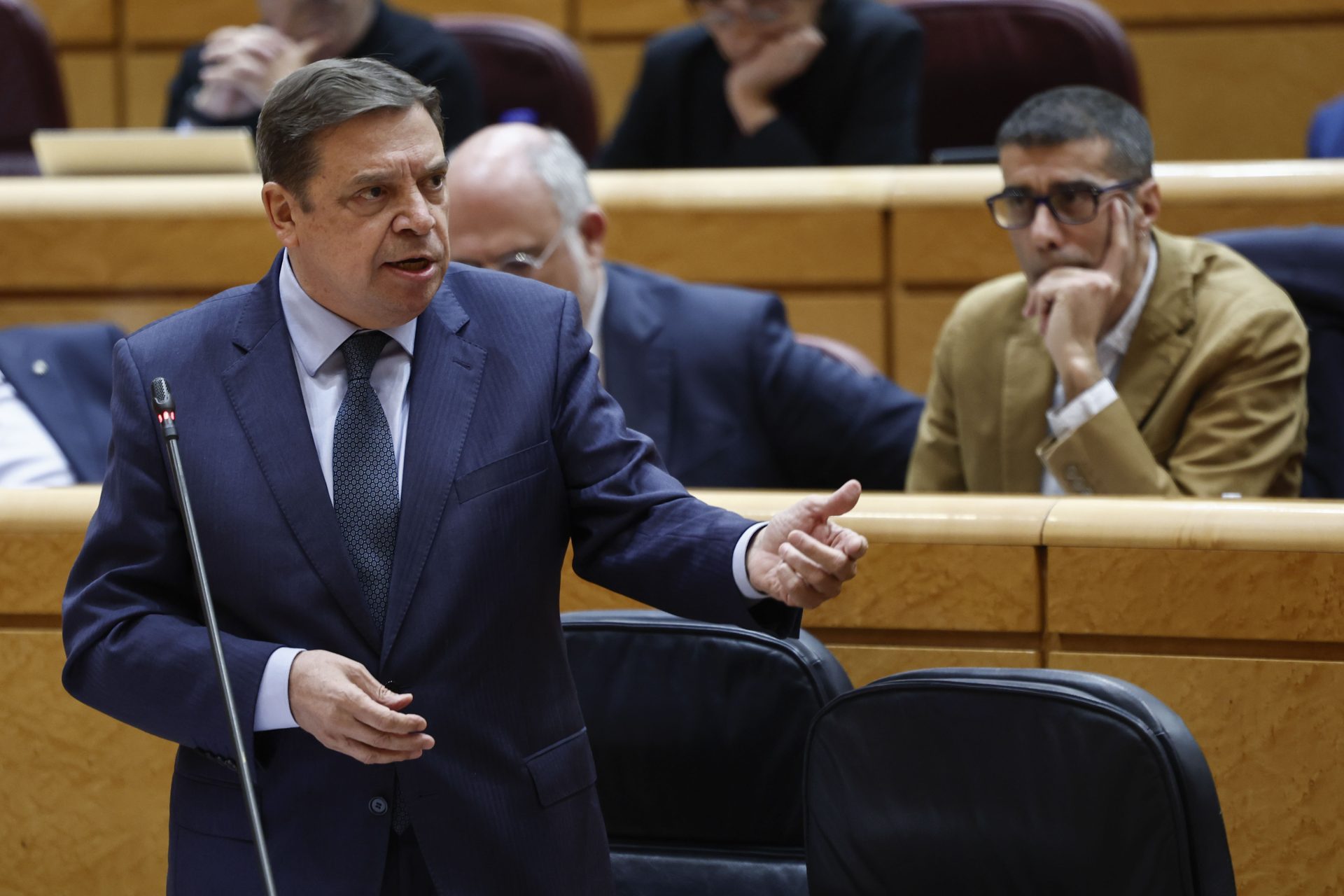 Veterinarios libres para elegir medicamentos: lo que necesitas saber sobre la prescripción