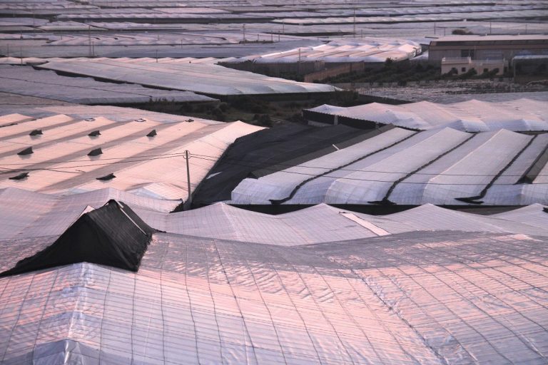 10 millones ya para los damnificados por la dana en Almería: detalles de la ayuda que llega