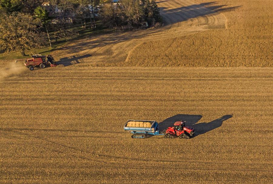 Crisis en el comercio de cereales y soja: la preocupación por la guerra arancelaria crece