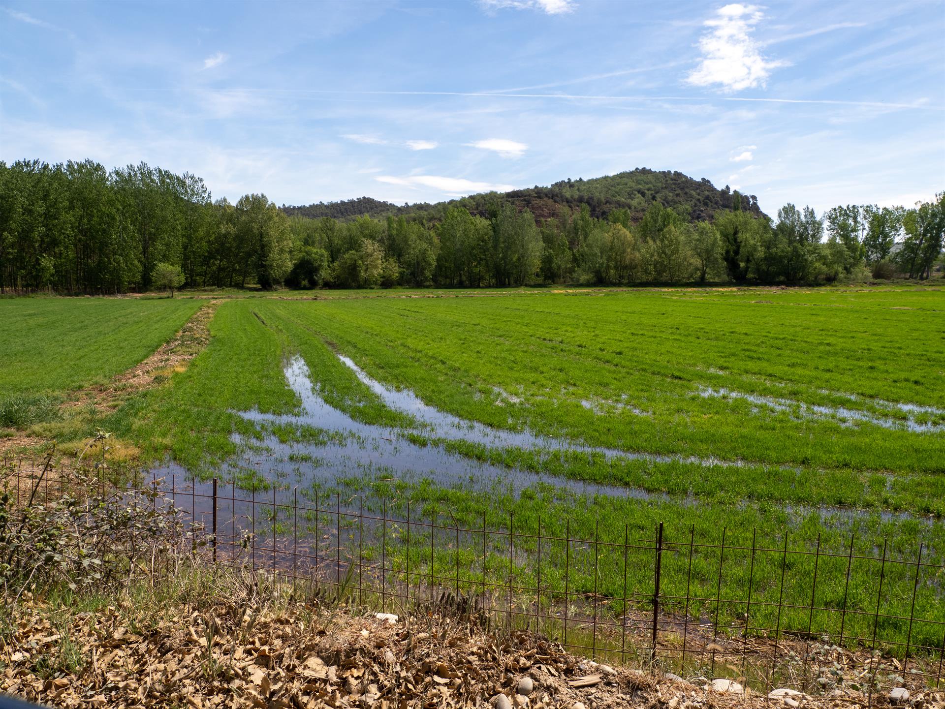 Granizo azota la cosecha de frutas en Cataluña y la Generalitat evalúa daños