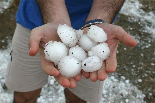 Pedrisco arrasa 10.000 hectáreas de frutales en Lleida: consecuencias y ayudas disponibles