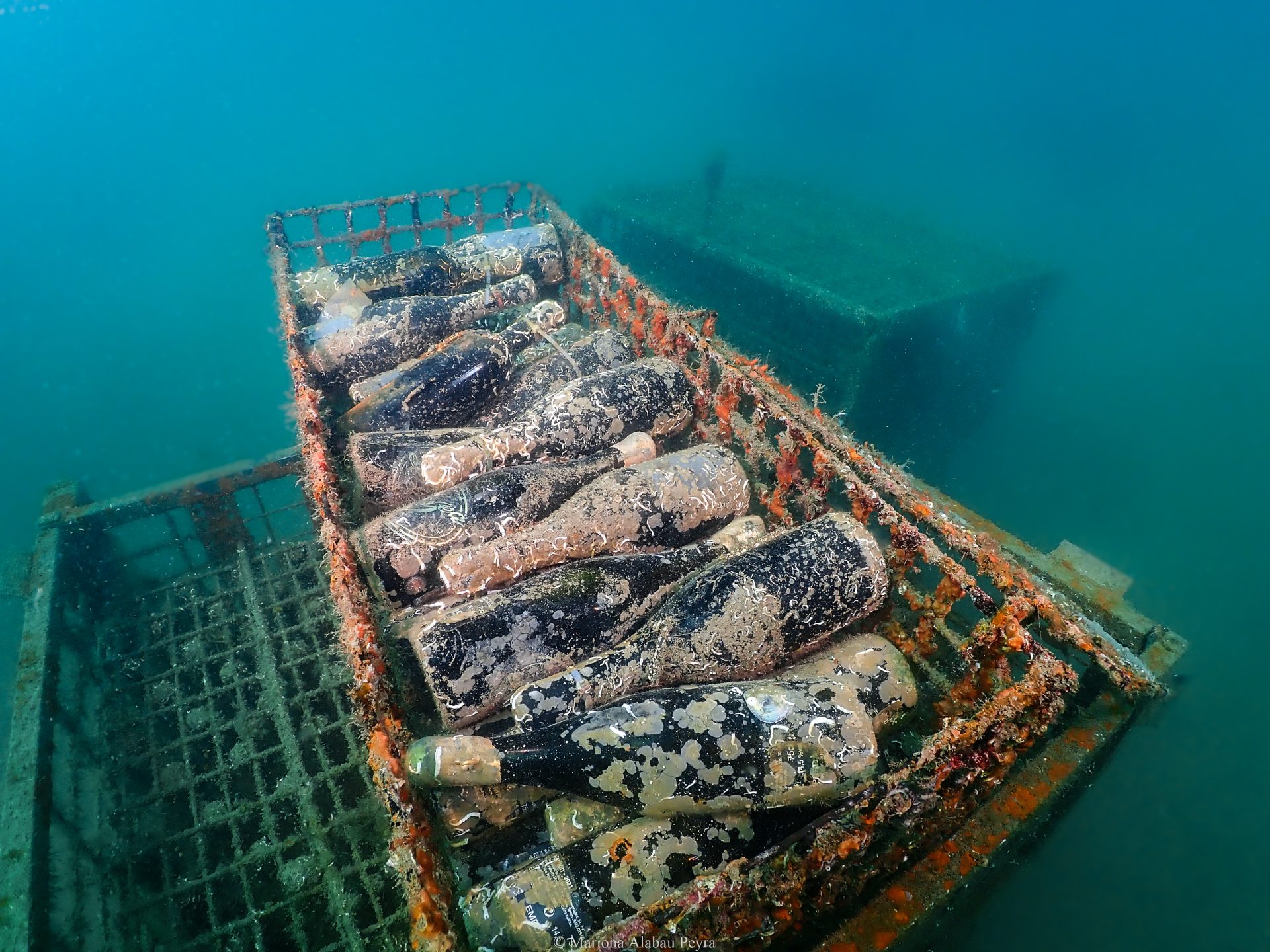 Vino submarino español: la tendencia que está revolucionando el turismo costero en España