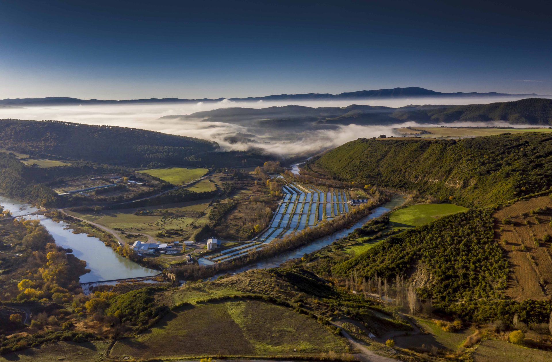 Acuicultura en España: proyecciones optimistas para el sector en la próxima década