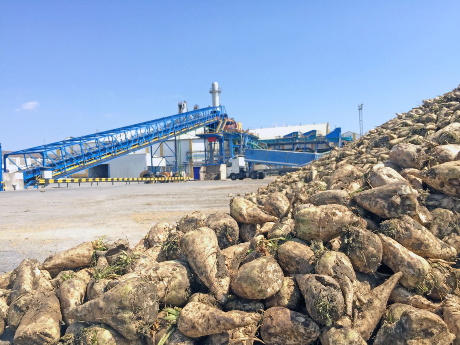 Azucarera cierra La Bañeza y despide a 251 empleados en su nuevo ERE