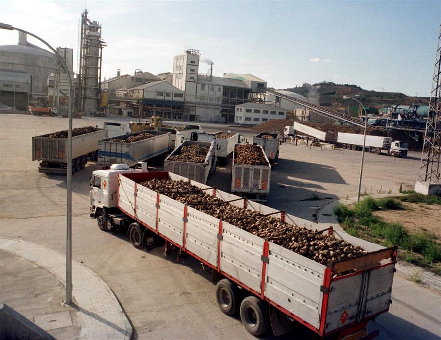 Azucarera plantea despidos en varias comunidades ¿Qué significa para el mercado laboral?