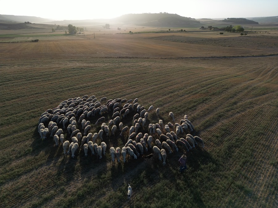Bruselas lanza medidas para agilizar pagos a agricultores y simplificar controles ambientales