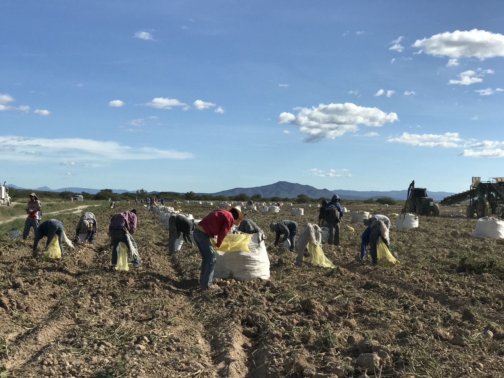 IICA ofrece becas para estudiar un máster en España: descubre cómo aplicar