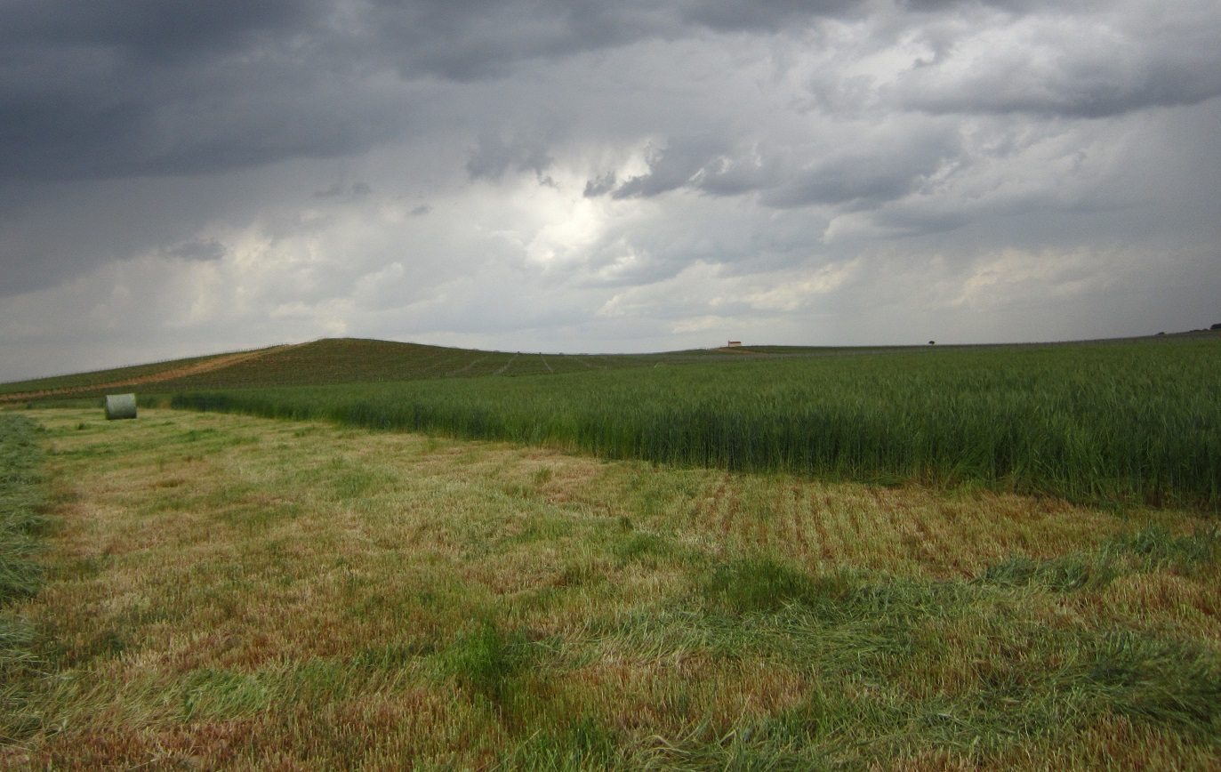 Parlamento Europeo aprueba aranceles a fertilizantes rusos y su impacto en la agricultura europea