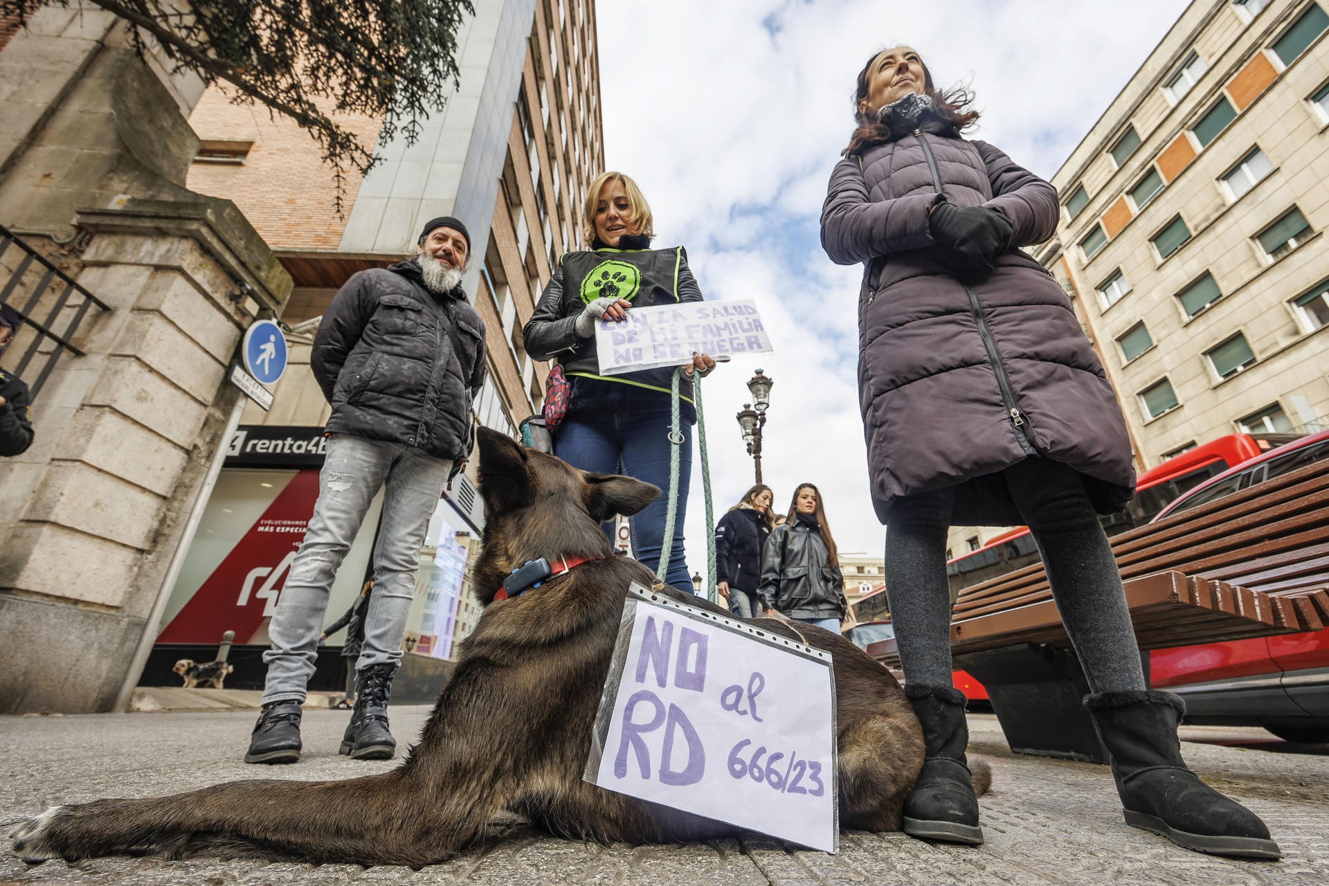 Reunión clave: Agricultura, veterinarios y farmacéuticos debaten sobre la nueva ley del medicamento