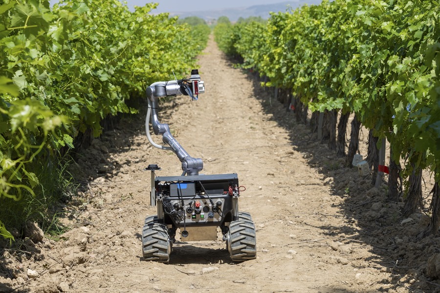 La revolución en viticultura: cómo sensores y robots transforman las cosechas con IA y 5G