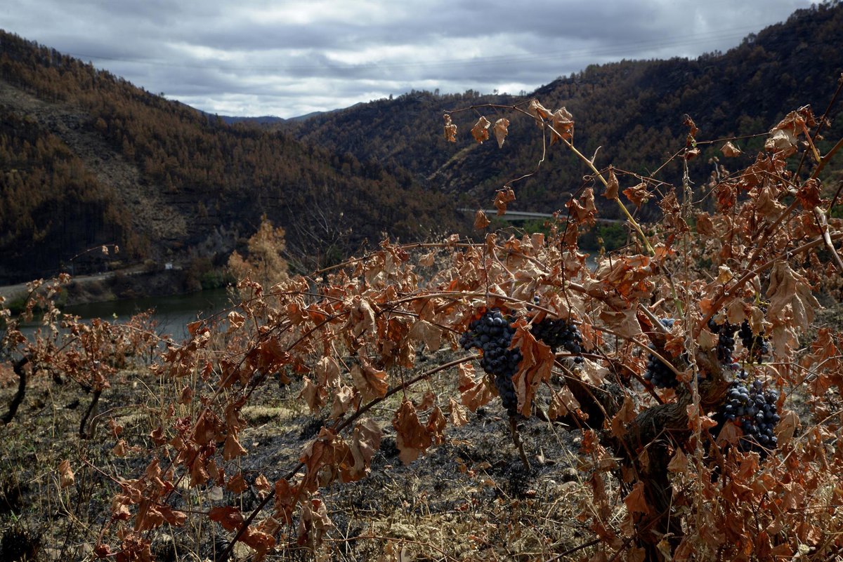 España solicita a Bruselas activar la reserva de crisis por los devastadores incendios