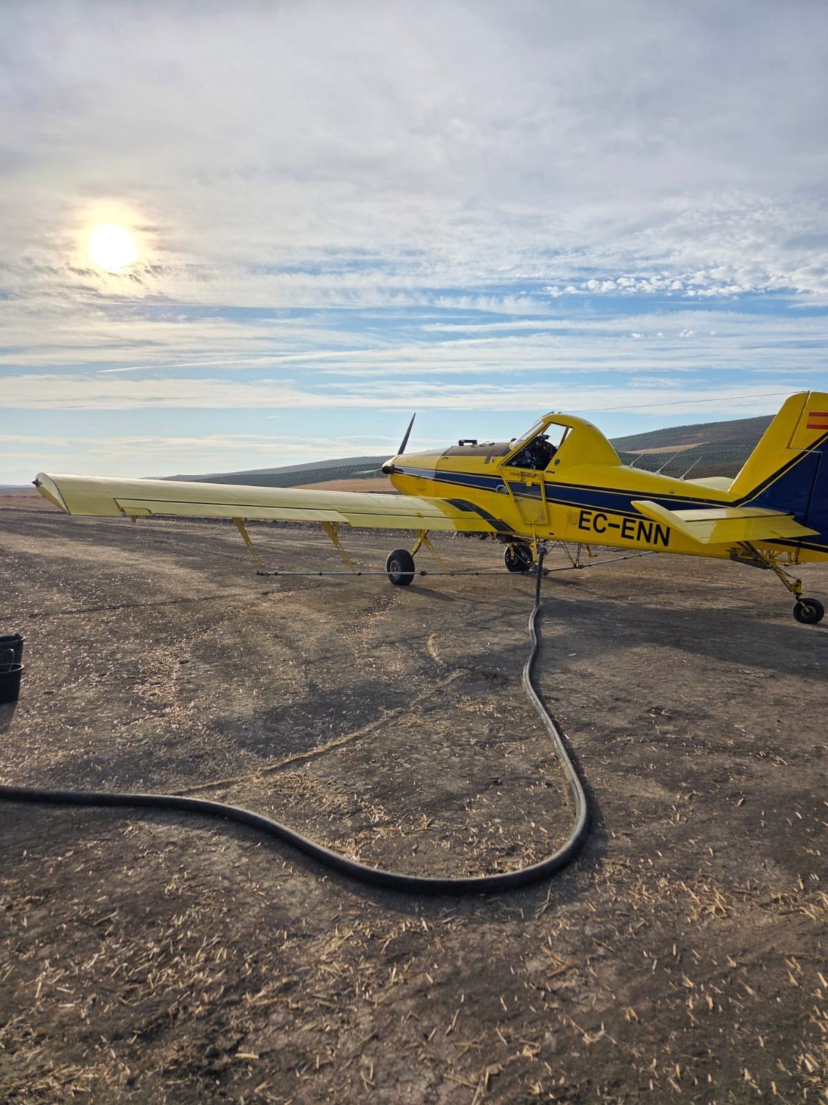 La DOP Baena inicia un plan sostenible y preciso contra la mosca del olivo