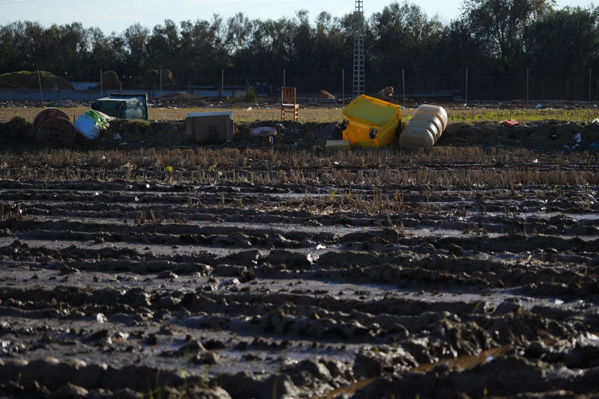 Más de 2.400 agricultores y ganaderos afectados por la Dana recibirán 9,8 millones en ayudas