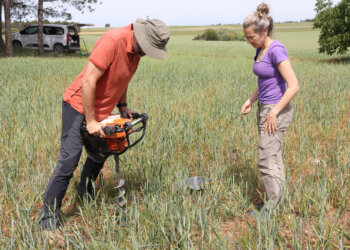 Más carbono, menos erosión: así puedes mejorar la salud del suelo con esta guía práctica Técnicos del proyecto Soilbio, tomando muestras en una parcela de cultivos herbáceos en siembra directa, en la Comunidad de Madrid