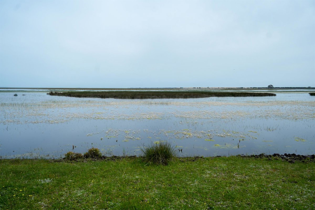 El Consejo de Ministros aprueba ayudas para la renaturalización de Doñana