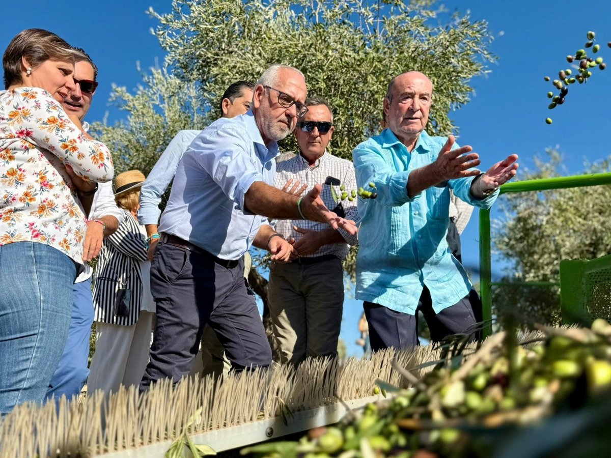 El delegado de la Junta en Jaén impulsa la producción de aceite de oliva temprano