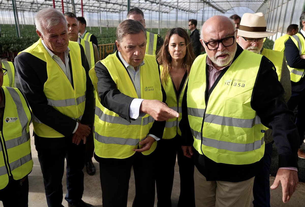 Planas confirma 49,4 millones para agricultores y ganaderos afectados por la dana en noviembre