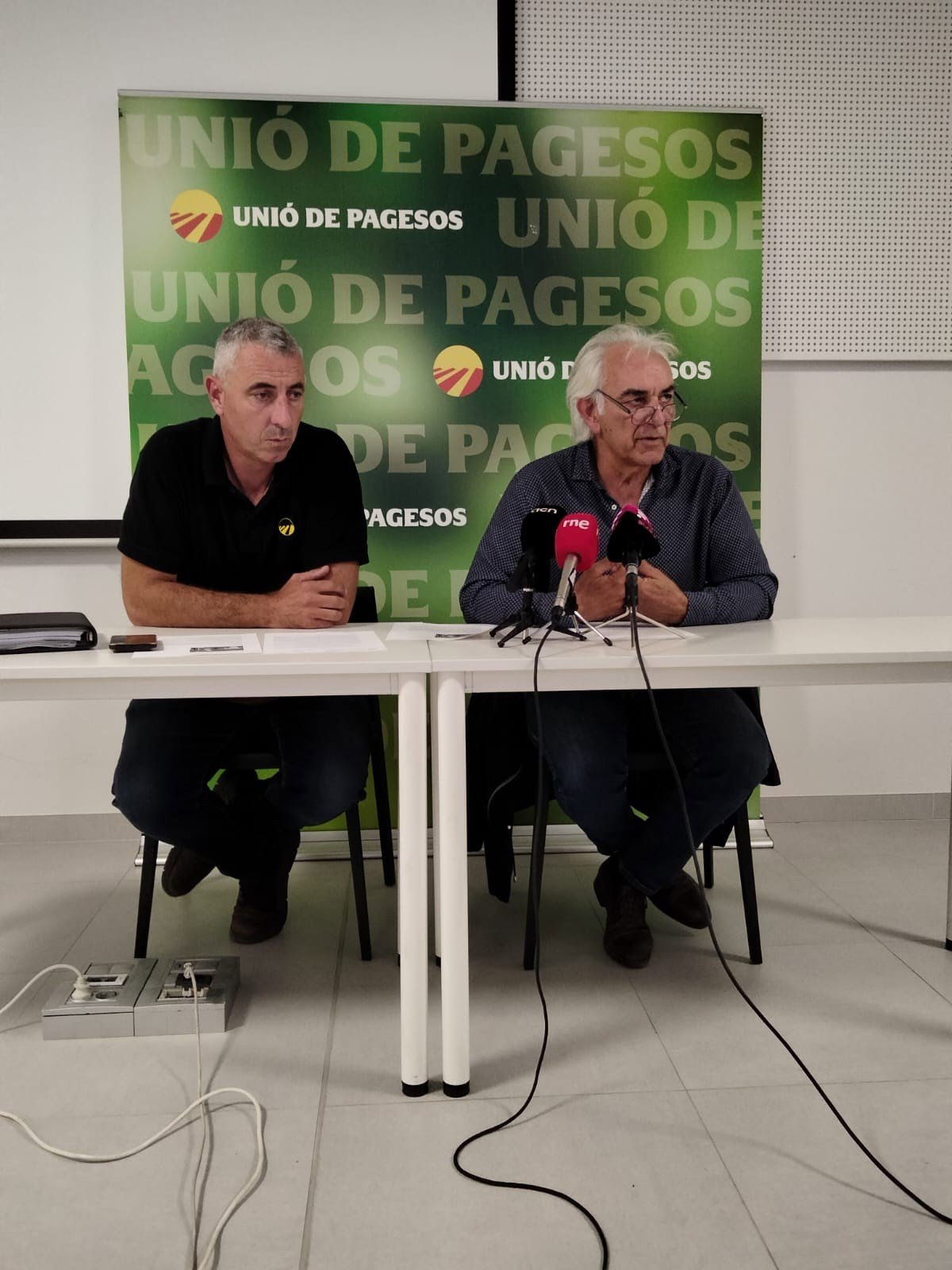 UP advierte sobre una campaña de fruta dulce afectada por pedregadas y enfermedades en España